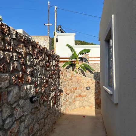 Habitación en casa particular Vickys